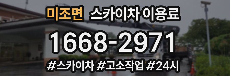 미조면 스카이차 이용료