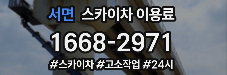 서면 스카이차 이용료