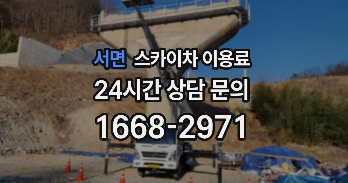 서면 스카이차 이용료