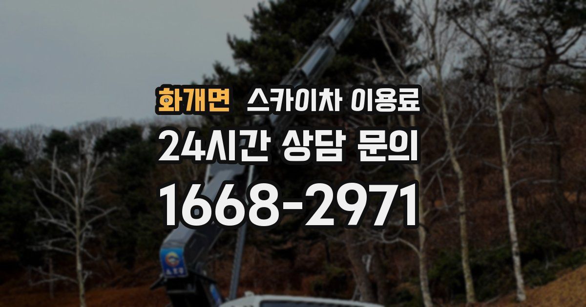 화개면 스카이차 이용료