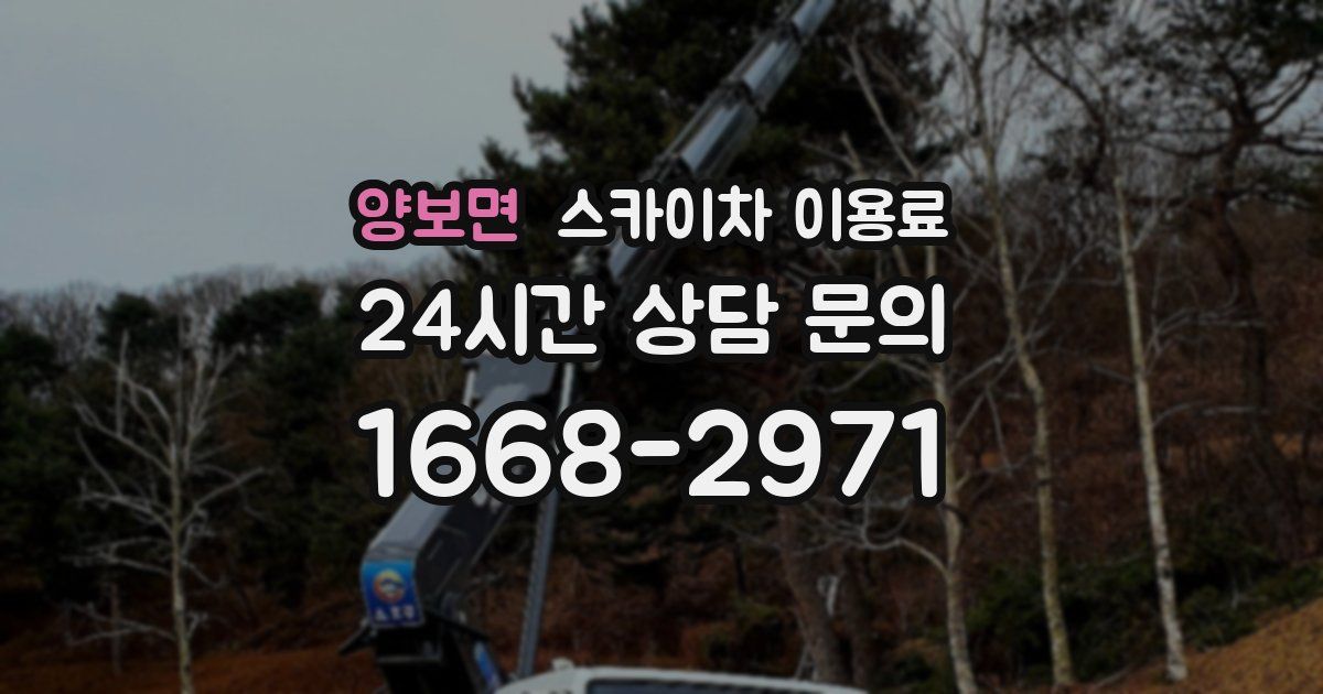 양보면 스카이차 이용료