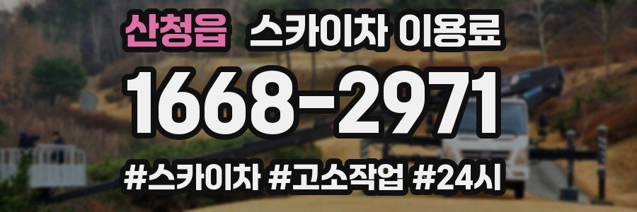 산청읍 스카이차 이용료