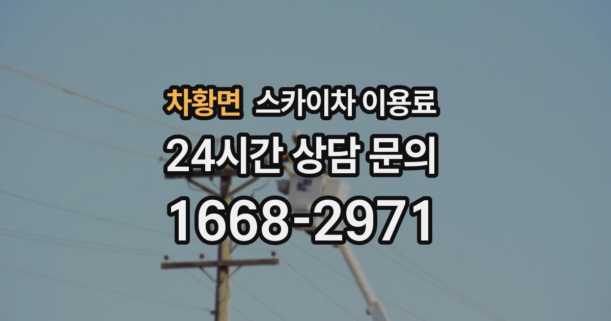 차황면 스카이차 이용료