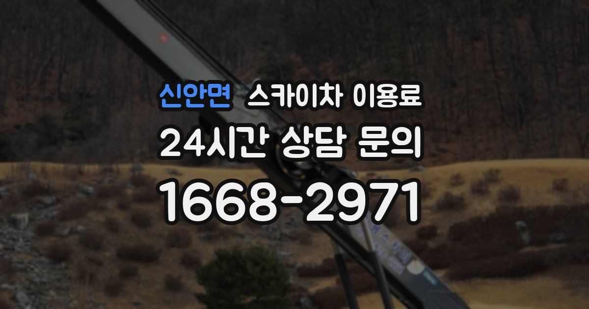 신안면 스카이차 이용료