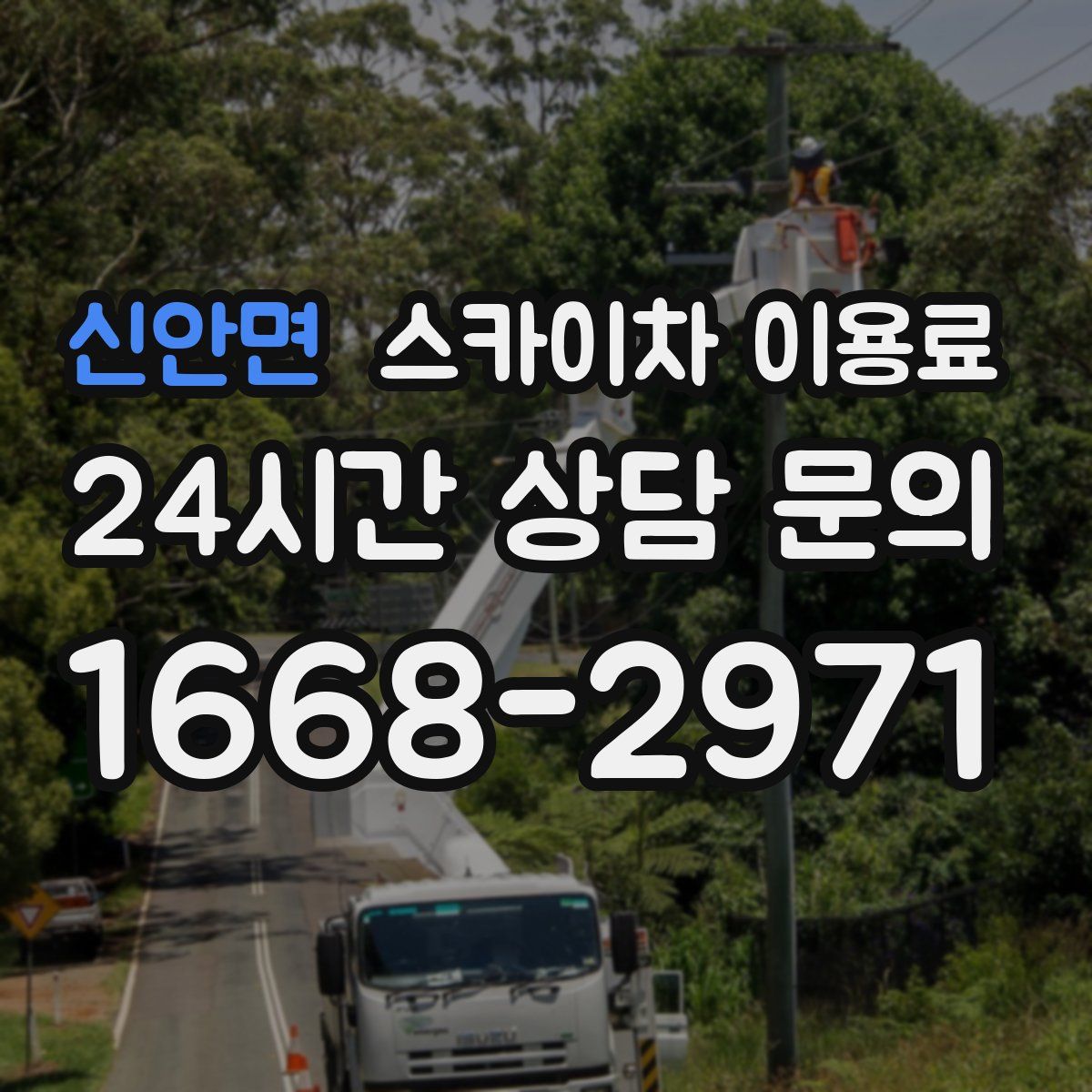 신안면 스카이차 이용료