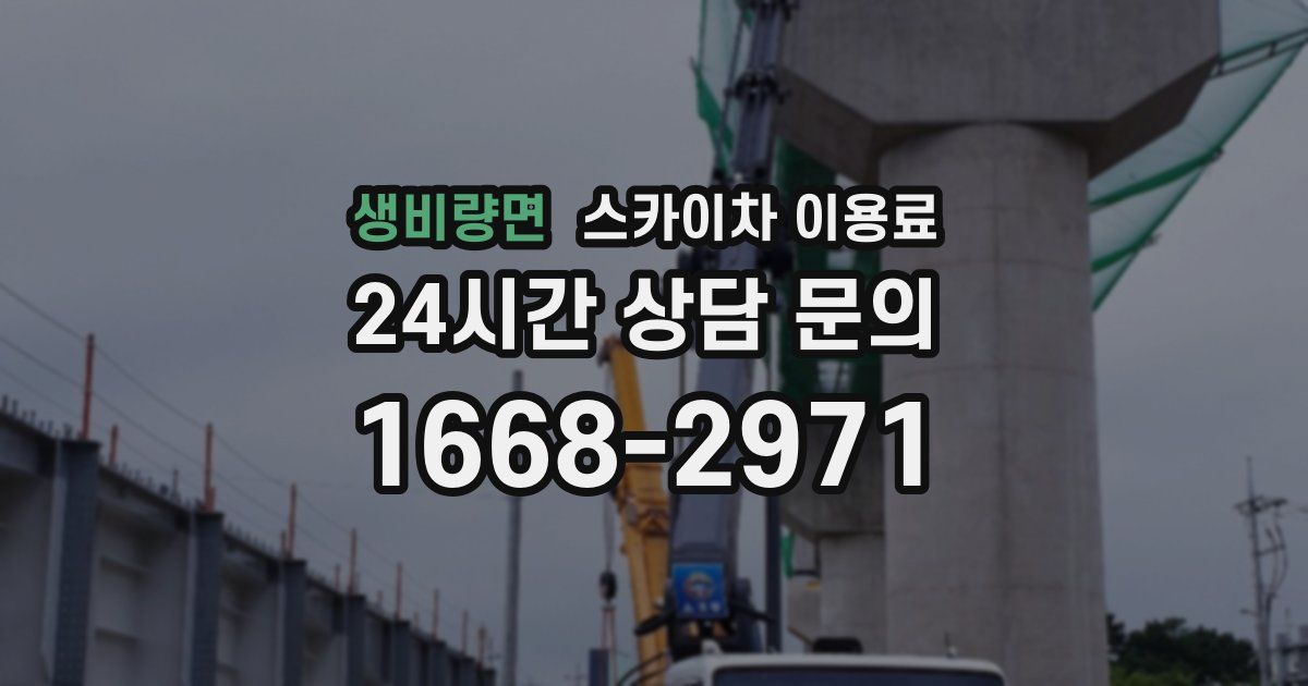 생비량면 스카이차 이용료