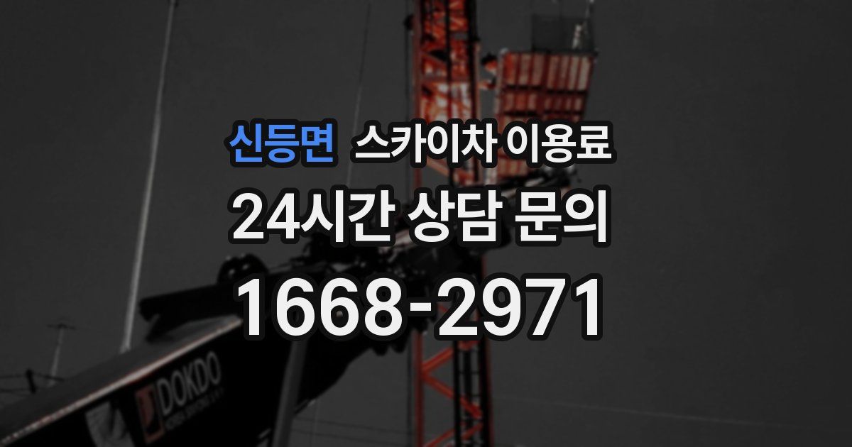 신등면 스카이차 이용료