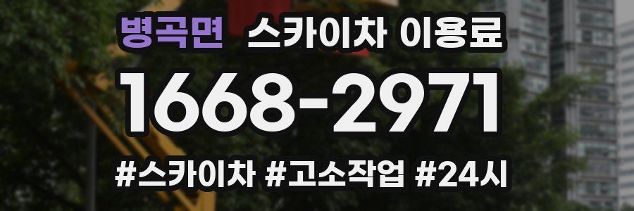병곡면 스카이차 이용료
