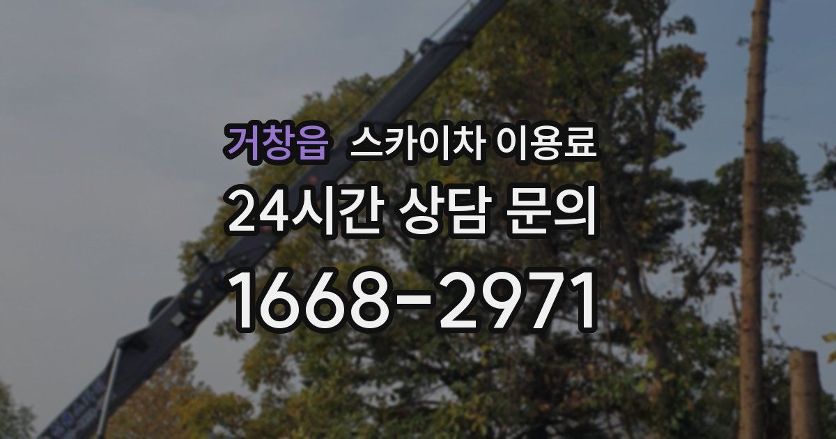 거창읍 스카이차 이용료