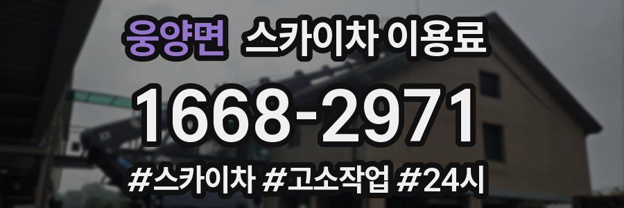 웅양면 스카이차 이용료