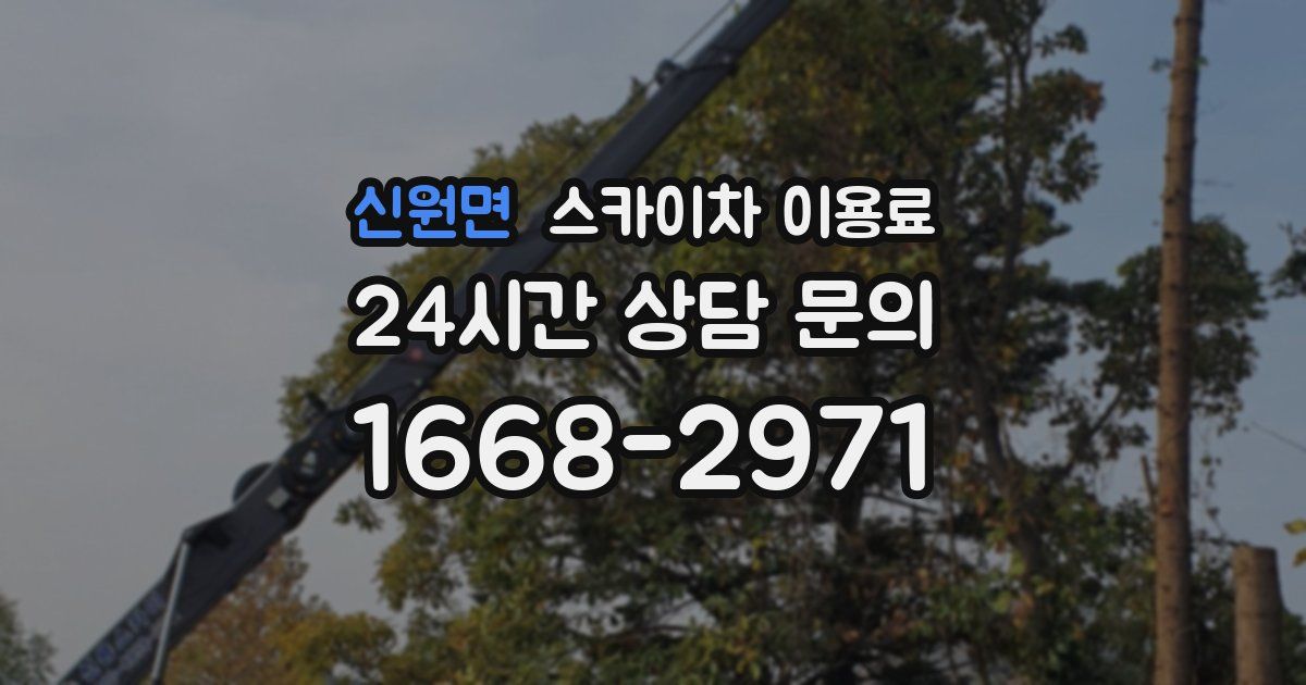 신원면 스카이차 이용료