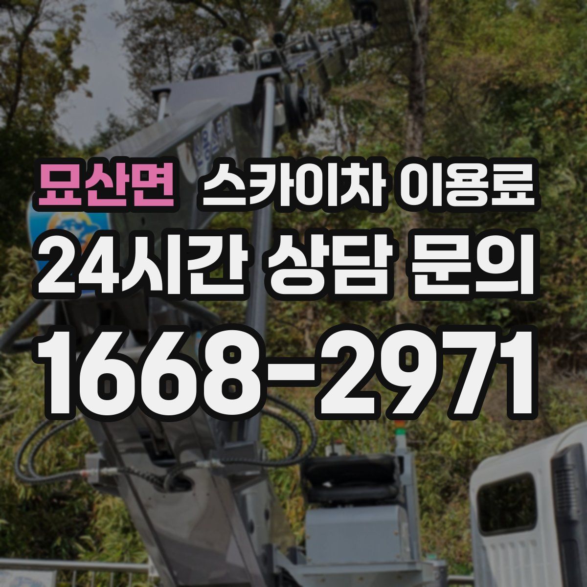 묘산면 스카이차 이용료
