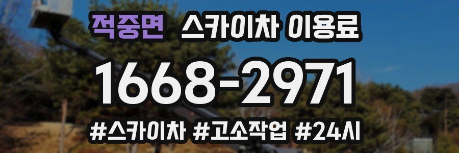 적중면 스카이차 이용료