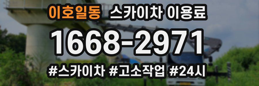 이호일동 스카이차 이용료