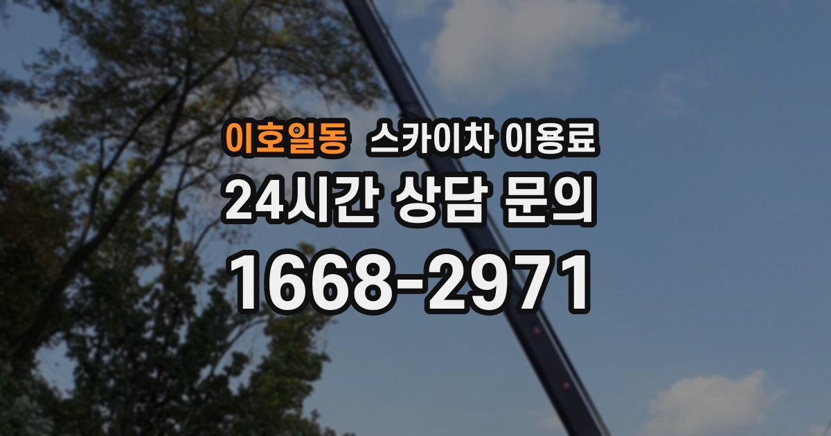 이호일동 스카이차 이용료