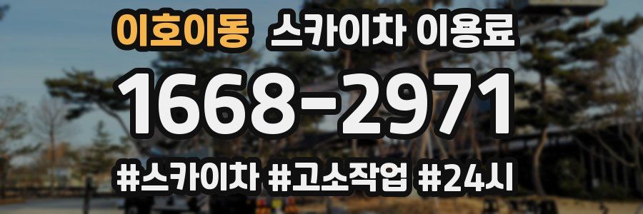 이호이동 스카이차 이용료