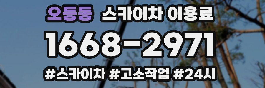 오등동 스카이차 이용료