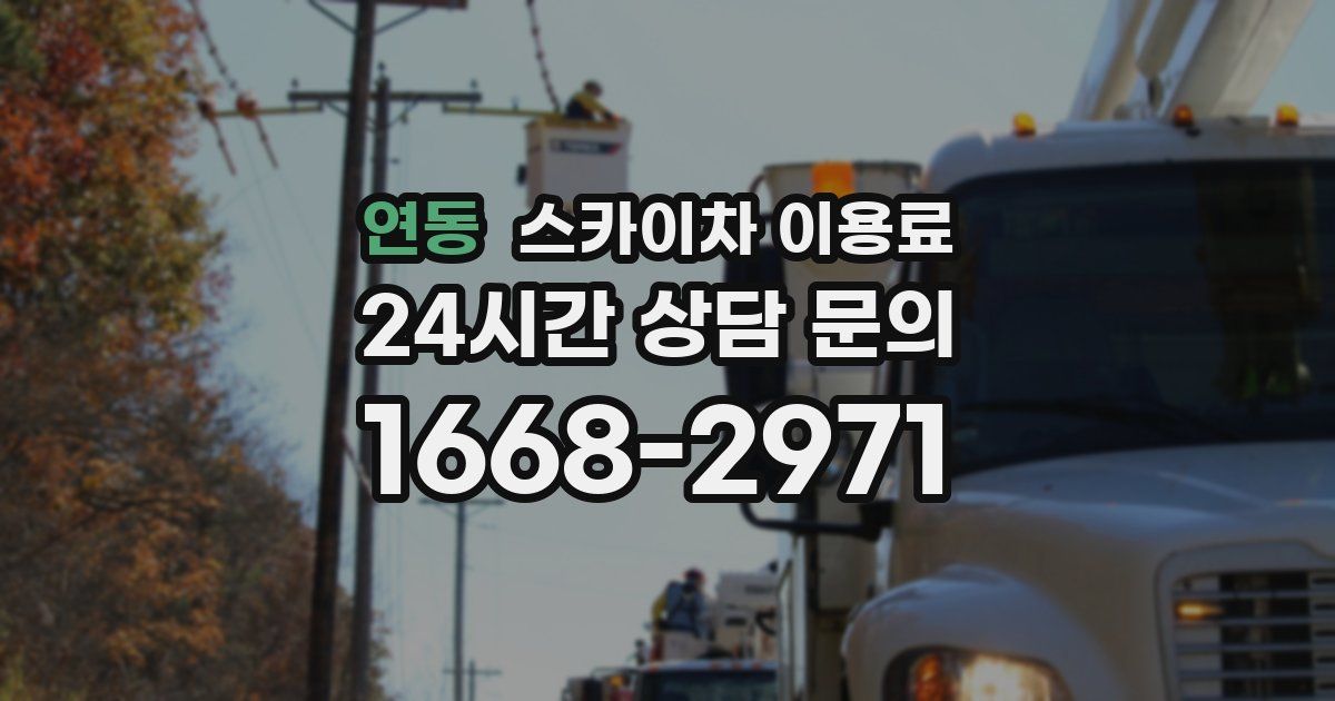 연동 스카이차 이용료