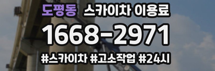 도평동 스카이차 이용료