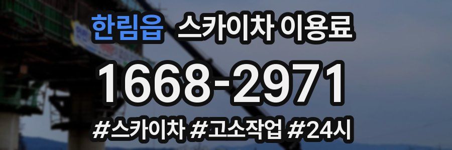 한림읍 스카이차 이용료