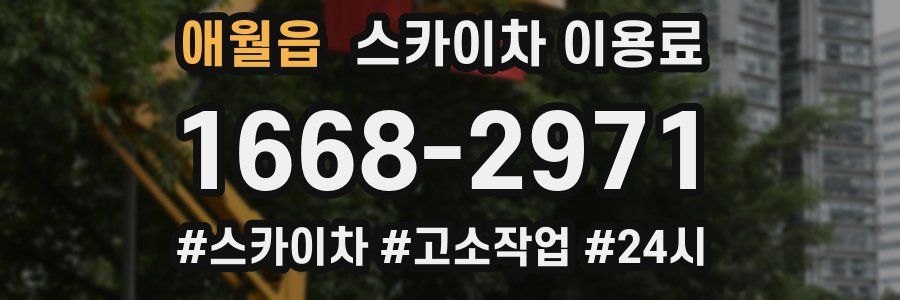애월읍 스카이차 이용료