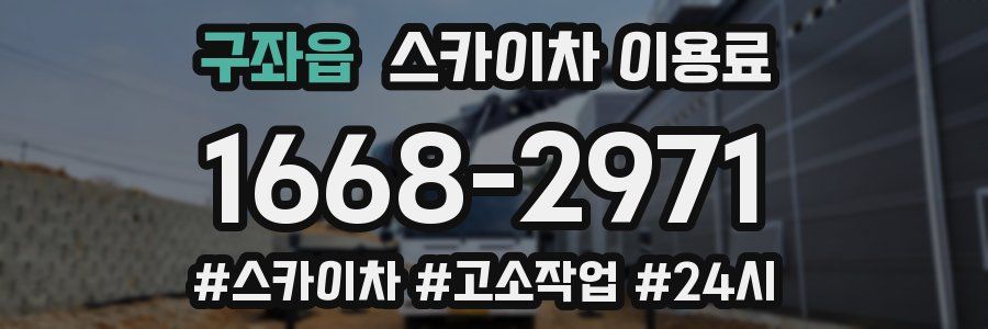 구좌읍 스카이차 이용료
