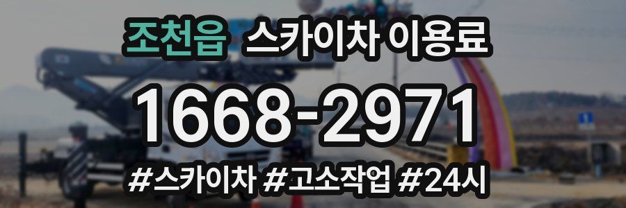 조천읍 스카이차 이용료