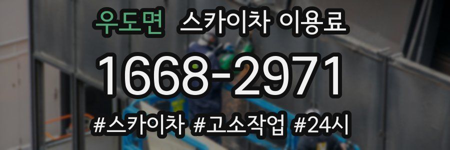 우도면 스카이차 이용료
