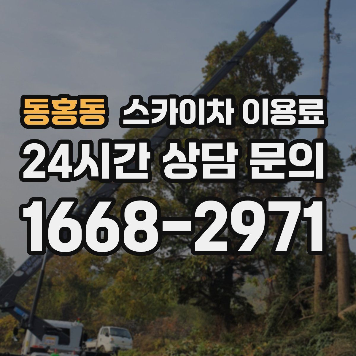 동홍동 스카이차 이용료