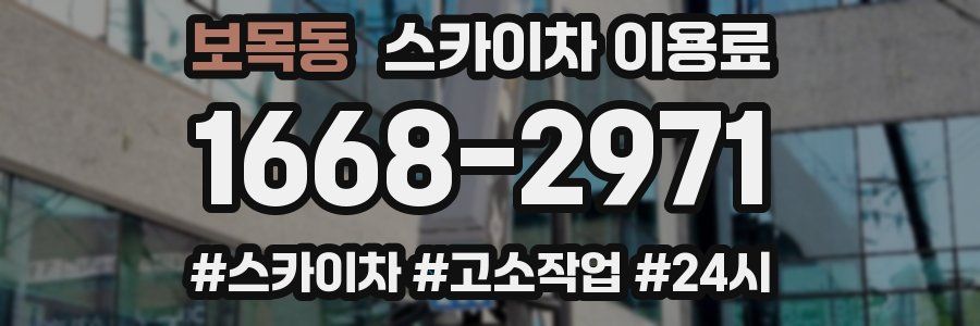 보목동 스카이차 이용료