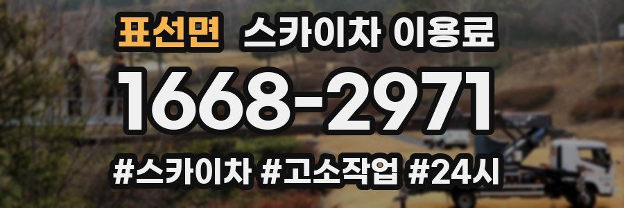 표선면 스카이차 이용료