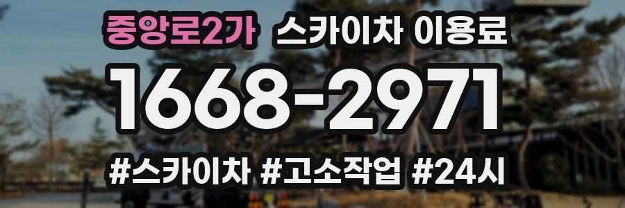 중앙로2가 스카이차 이용료