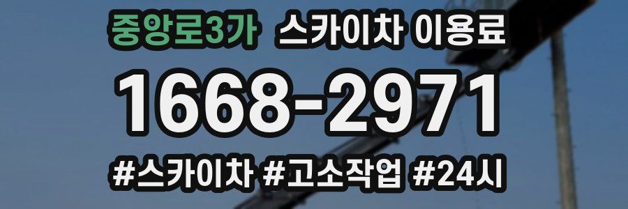 중앙로3가 스카이차 이용료