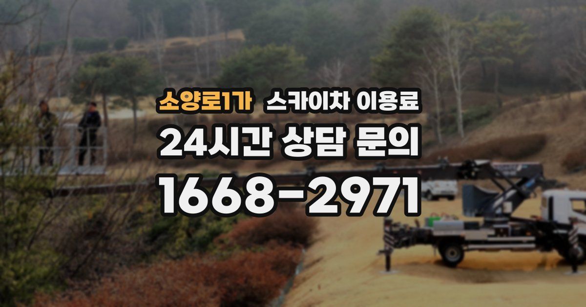 소양로1가 스카이차 이용료