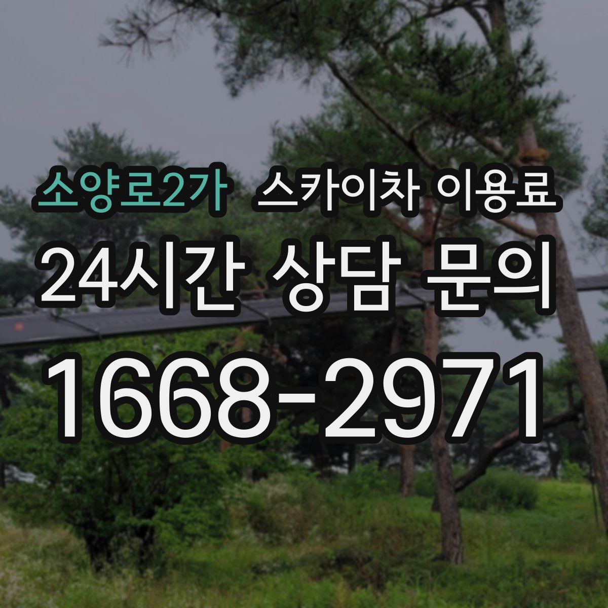 소양로2가 스카이차 이용료