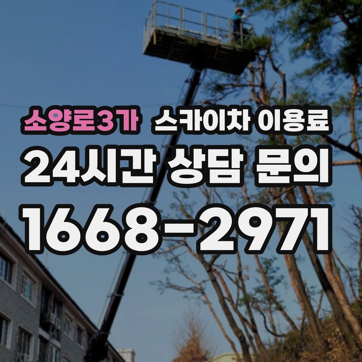 소양로3가 스카이차 이용료