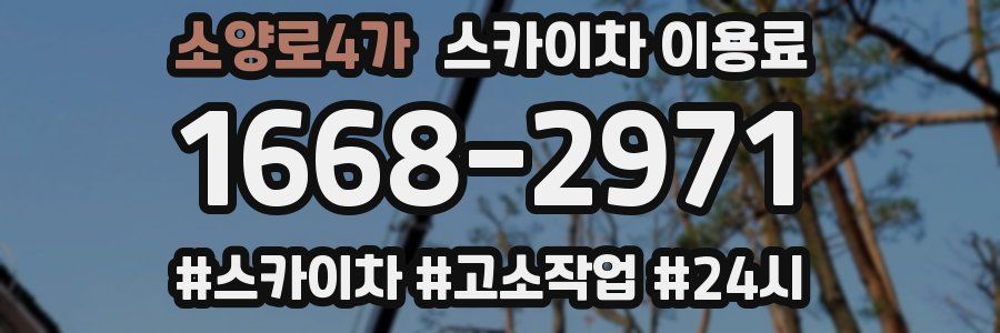 소양로4가 스카이차 이용료