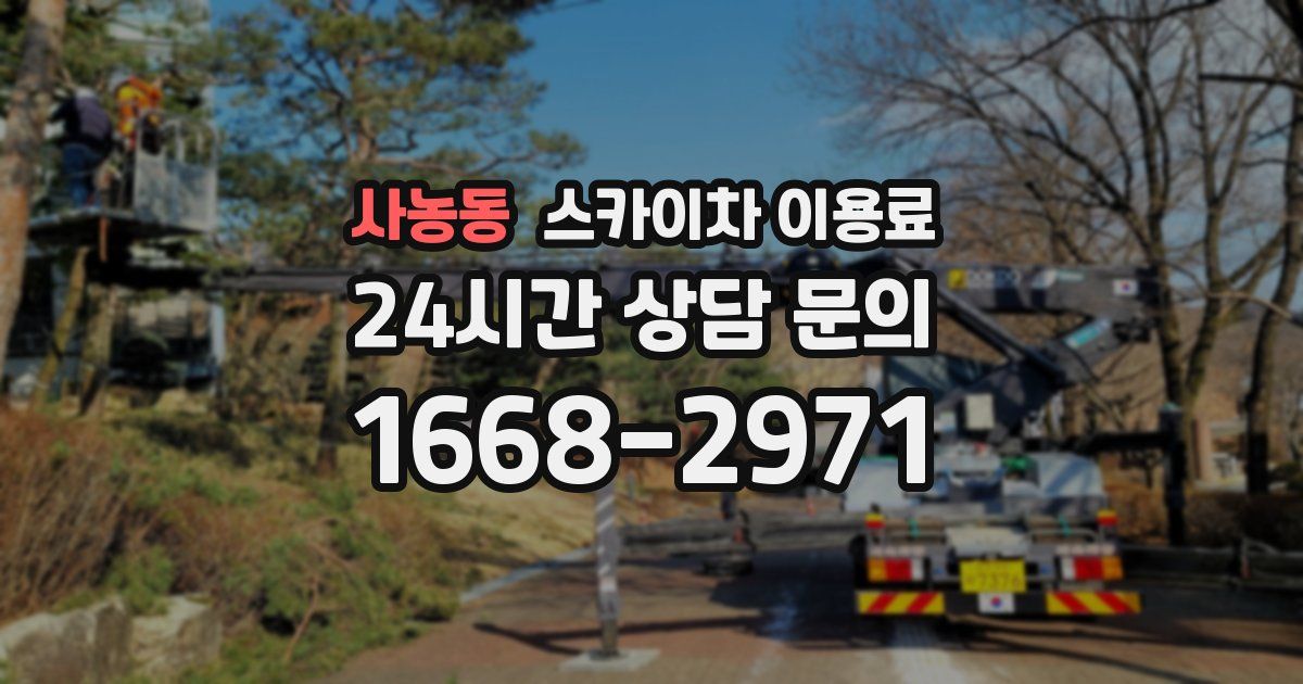 사농동 스카이차 이용료