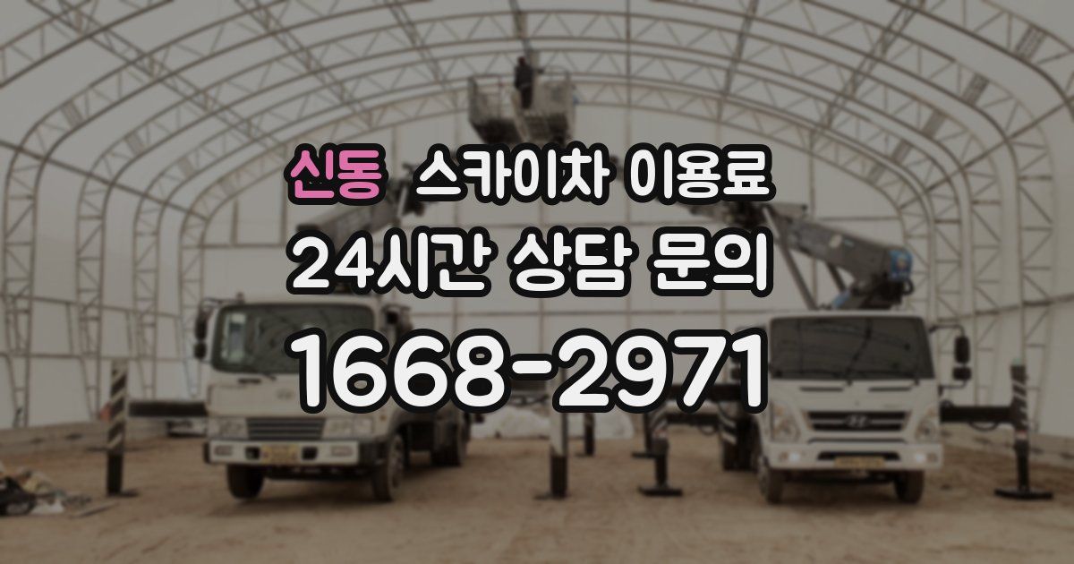 신동 스카이차 이용료