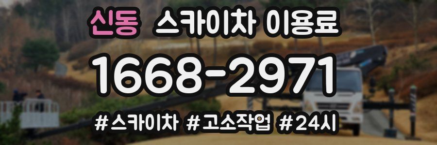 신동 스카이차 이용료