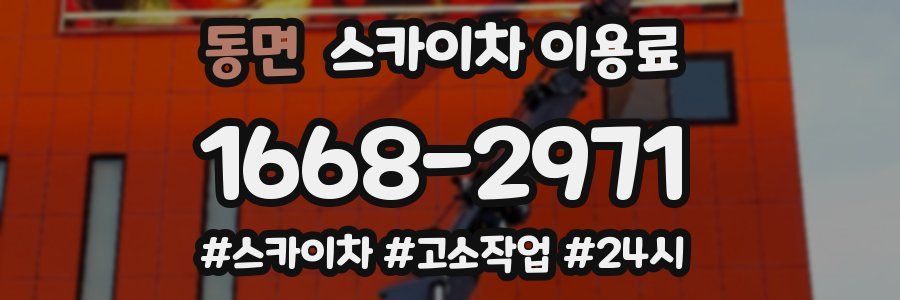 동면 스카이차 이용료