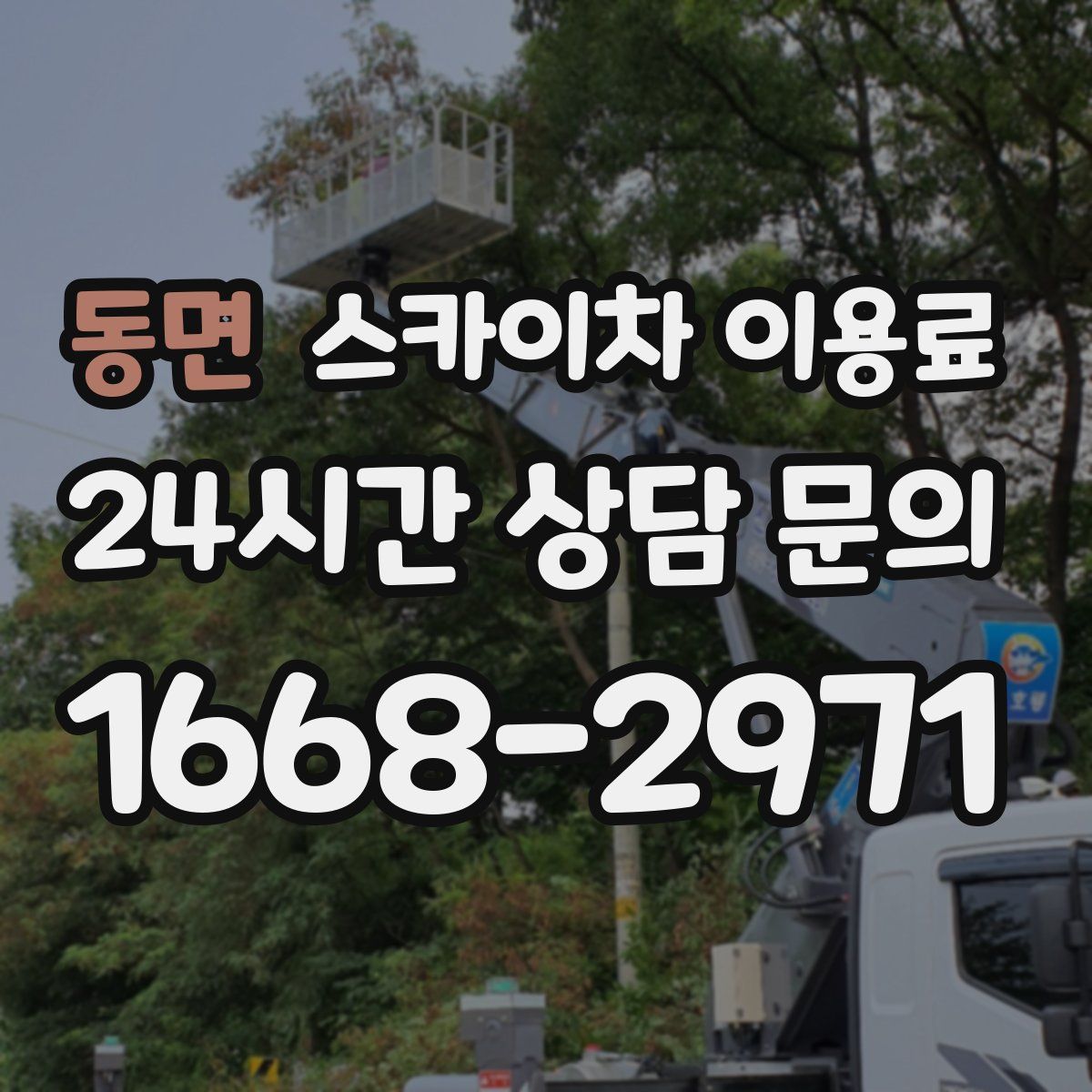 동면 스카이차 이용료