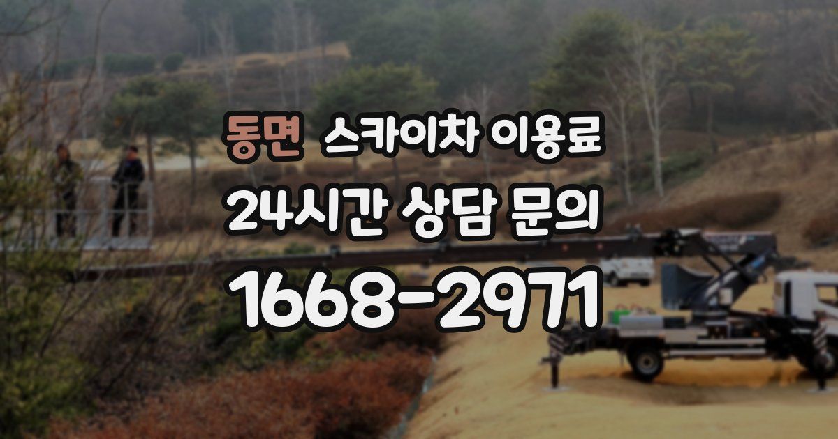 동면 스카이차 이용료