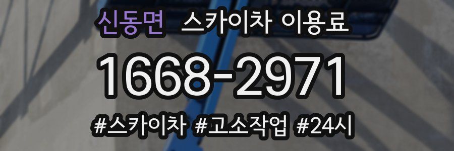 신동면 스카이차 이용료