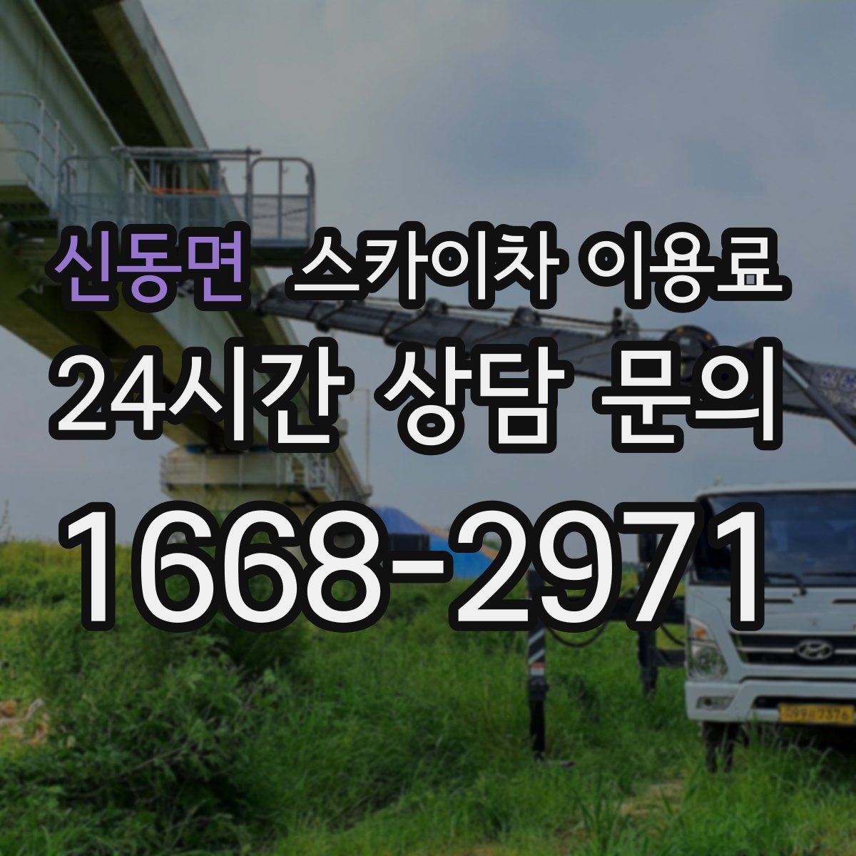 신동면 스카이차 이용료