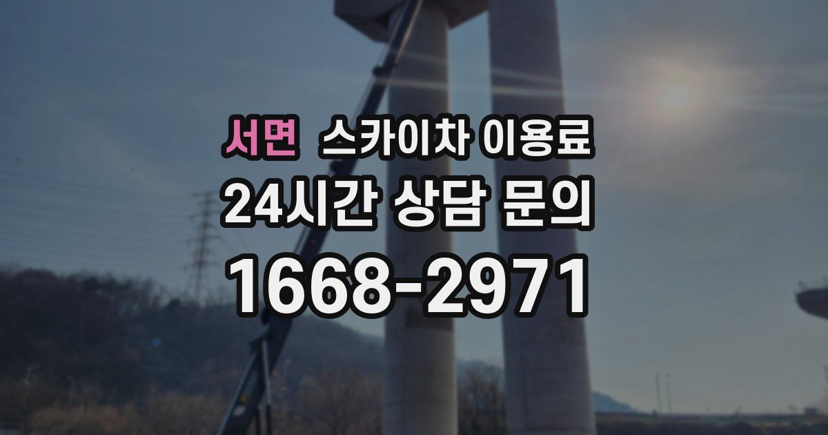 서면 스카이차 이용료