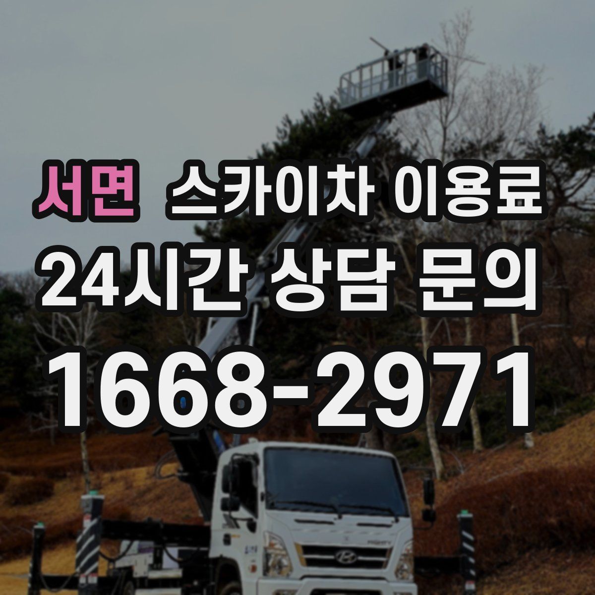 서면 스카이차 이용료