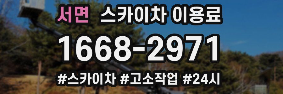 서면 스카이차 이용료