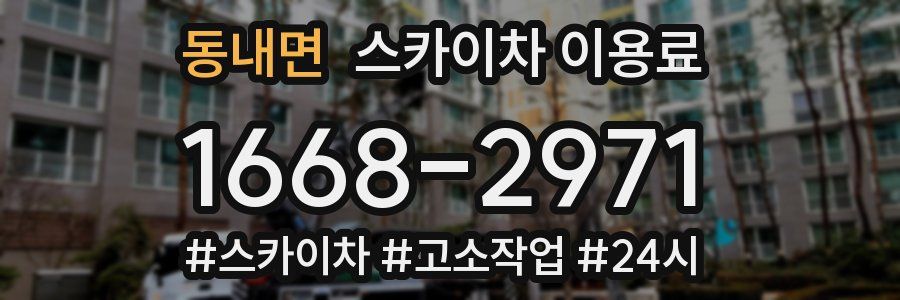동내면 스카이차 이용료