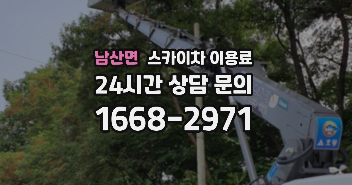 남산면 스카이차 이용료